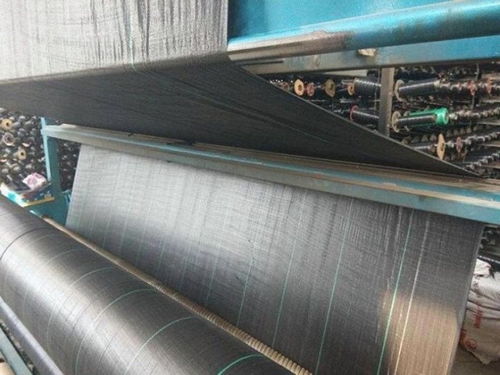 防草布生產(chǎn)廠家及經(jīng)緯編布銷售聯(lián)系方式